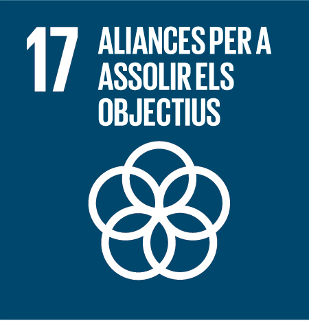 Objectiu 17. Aliança per a assolir els objectius