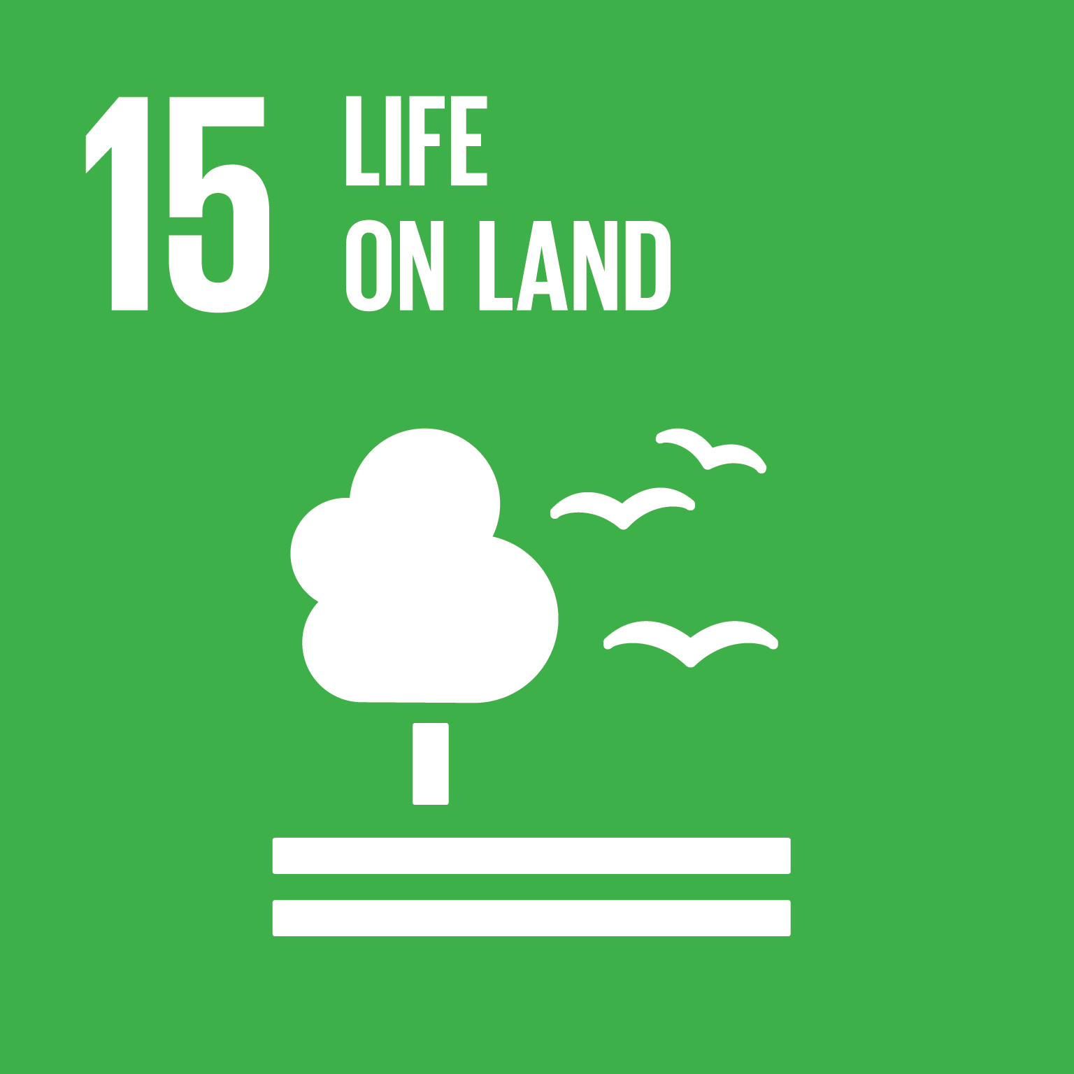 Goal 15. Life on land